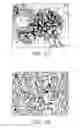 Fig. 09 - Methods of isolation, expansion and differentiation of fetal stem cells from chorionic villus, amniotic fluid, and placenta and therapeutic uses thereof