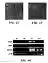 Fig. 12 - Methods of isolation, expansion and differentiation of fetal stem cells from chorionic villus, amniotic fluid, and placenta and therapeutic uses thereof