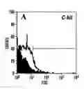 Fig. 01 - Methods of isolation, expansion and differentiation of fetal stem cells from chorionic villus, amniotic fluid, and placenta and therapeutic uses thereof