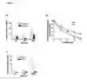 Fig. 02 - Method of modulating cellular transmigration and agents for use therein