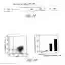 Fig. 02 - Method for the generation of antigen-specific lymphocytes