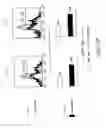 Fig. 08 - Method for the generation of antigen-specific lymphocytes