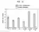 Fig. 08 - Nanosphere/microsphere delivery system for the treatment of spinal cord injury