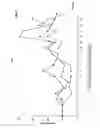 Fig. 03 - Novel methods and medicament for treating infectious diseases involving microbial biofilms
