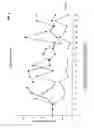Fig. 04 - Novel methods and medicament for treating infectious diseases involving microbial biofilms