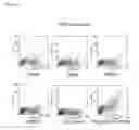 Fig. 03 - Compositions and methods for diagnosing and treating cancer