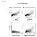 Fig. 05 - Compositions and methods for diagnosing and treating cancer