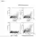 Fig. 06 - Compositions and methods for diagnosing and treating cancer