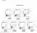 Fig. 07 - Compositions and methods for diagnosing and treating cancer
