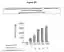 Fig. 04 - Method for the production of an immunostimulating mucin (muc1)