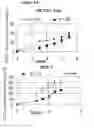 Fig. 08 - Method for the production of an immunostimulating mucin (muc1)