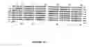 Fig. 17 - PDEs and uses thereof