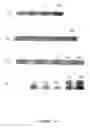 Fig. 21 - PDEs and uses thereof