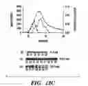 Fig. 24 - PDEs and uses thereof