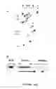 Fig. 34 - PDEs and uses thereof