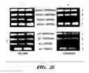 Fig. 47 - PDEs and uses thereof