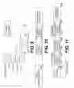 Fig. 10 - Antibodies to the propeptide of candida albicans and methods of use