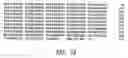 Fig. 08 - antigens