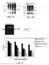 Fig. 02 - INFLUENZA VACCINE COMPOSITIONS AND METHODS