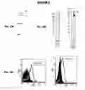 Fig. 03 - Immunisation against Chlamydia pneumoniae