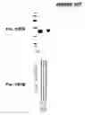 Fig. 167 - Immunisation against Chlamydia pneumoniae