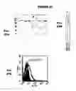 Fig. 22 - Immunisation against Chlamydia pneumoniae