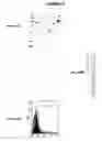 Fig. 48 - Immunisation against Chlamydia pneumoniae