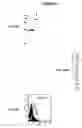 Fig. 52 - Immunisation against Chlamydia pneumoniae
