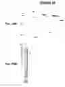 Fig. 77 - Immunisation against Chlamydia pneumoniae