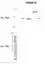 Fig. 79 - Immunisation against Chlamydia pneumoniae