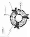 Fig. 07 - Surface immobilised multilayer structure of vesicles