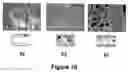 Fig. 11 - Microporous articles comprising biodegradable medical polymers, method of preparation thereof and method of use thereof