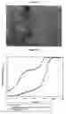 Fig. 02 - Subcutaneous implants having limited initial release of the active principle and subsequent linearly varying extended release thereof