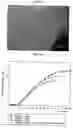 Fig. 05 - Subcutaneous implants having limited initial release of the active principle and subsequent linearly varying extended release thereof
