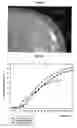 Fig. 06 - Subcutaneous implants having limited initial release of the active principle and subsequent linearly varying extended release thereof