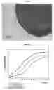 Fig. 08 - Subcutaneous implants having limited initial release of the active principle and subsequent linearly varying extended release thereof