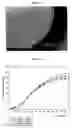 Fig. 10 - Subcutaneous implants having limited initial release of the active principle and subsequent linearly varying extended release thereof