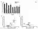 Fig. 06 - Methods and compositions for treating proliferative diseases