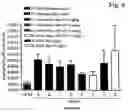 Fig. 07 - Methods and compositions for treating proliferative diseases