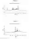 Fig. 02 - Process and composition for syrup and jam from Luo Han Guo fruit