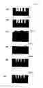 Fig. 01 - Methods for uniform metal impregnation into a nanoporous material