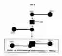 Fig. 03 - Methods for uniform metal impregnation into a nanoporous material