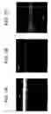 Fig. 08 - Antireflective surfaces, methods of manufacture thereof and articles comprising the same