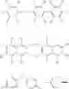 Fig. 03 - High strength multilayer laminates comprising twisted nematic liquid crystals