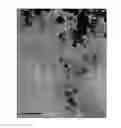 Fig. 01 - Magnetic nanoparticles and method for producing the same
