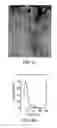 Fig. 02 - Magnetic nanoparticles and method for producing the same