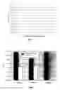 Fig. 04 - Sulfidation-resistant silver-base coating, method for depositing such a coating and use thereof