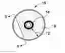 Fig. 01 - Optical article having anti-theft feature and a system and method for inhibiting theft of same