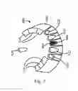 Fig. 06 - Modular tooth veneer