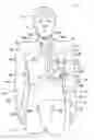 Fig. 01 - Cardiopulmonary patient simulator